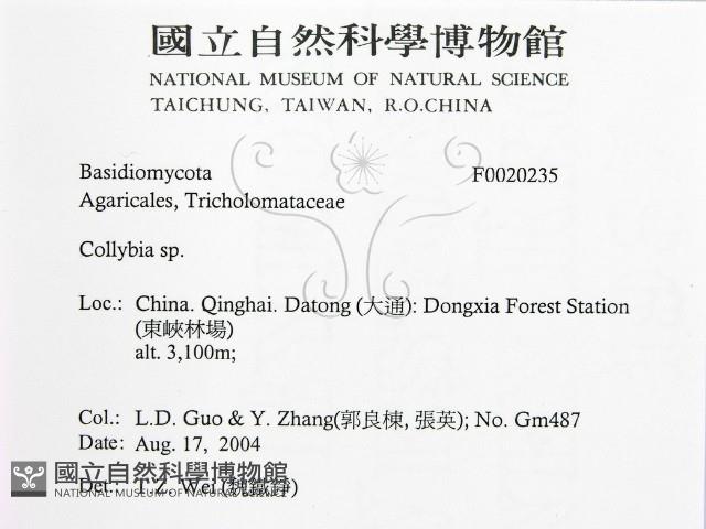 登錄號:F0020235藏品圖，第2張