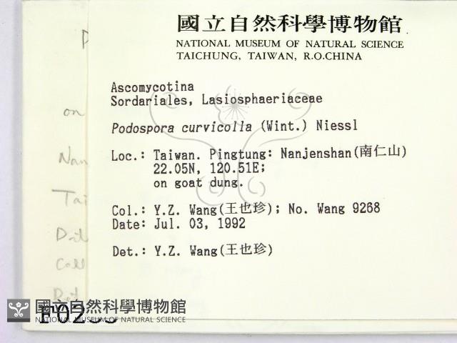 登錄號:F0000235藏品圖，第2張