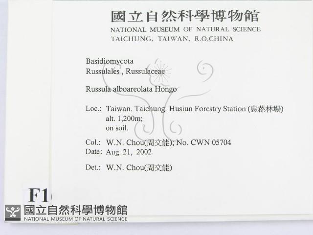 登錄號:F0016235藏品圖，第2張