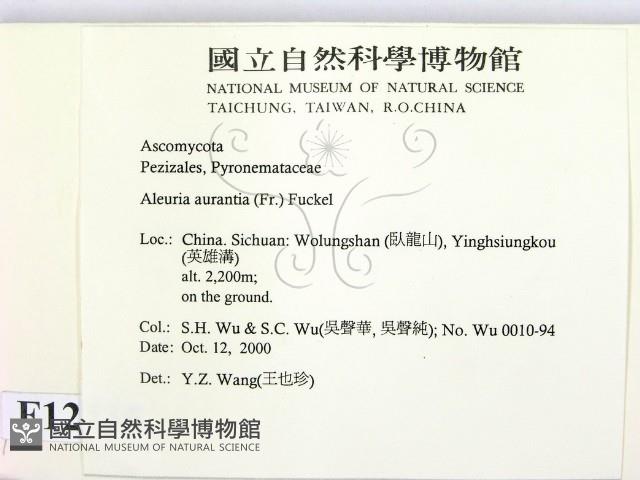 登錄號:F0012235藏品圖，第2張