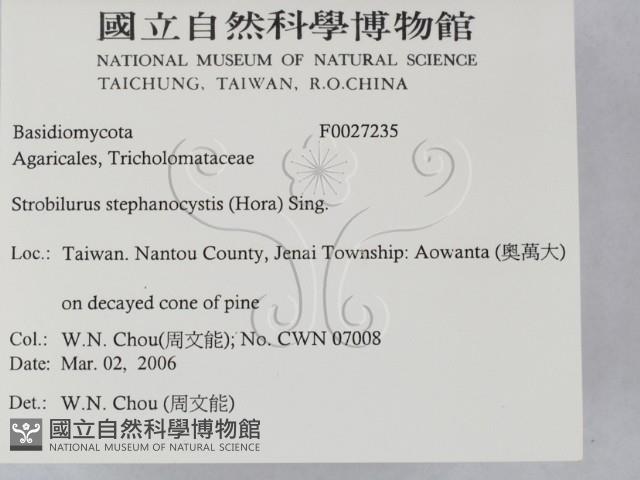 登錄號:F0027235藏品圖，第2張