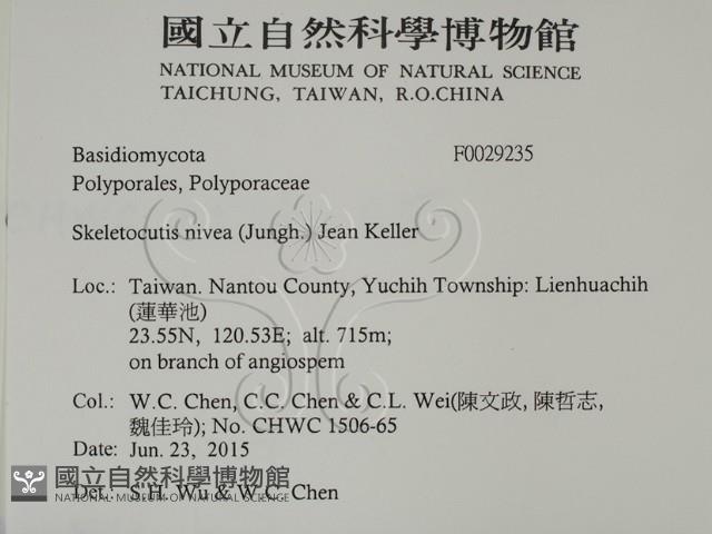 登錄號:F0029235藏品圖，第2張