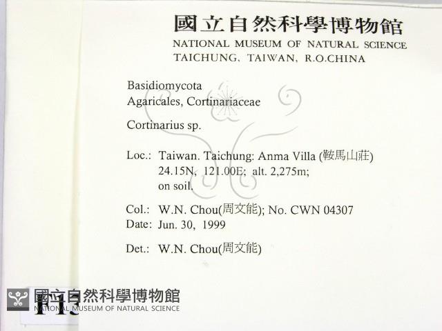 登錄號:F0013235藏品圖，第2張