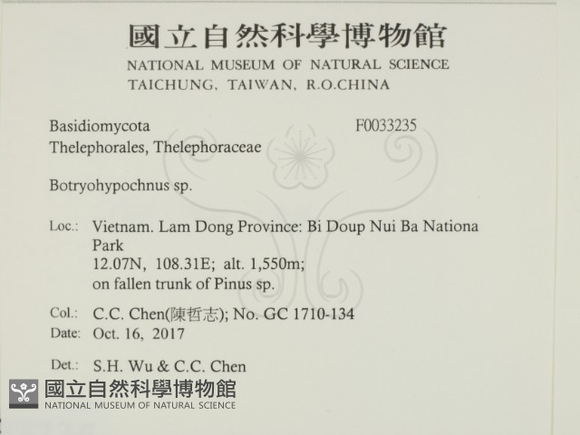 登錄號:F0033235藏品圖，第2張
