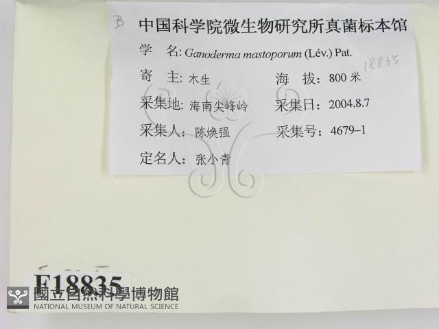 登錄號:F0018835藏品圖，第2張