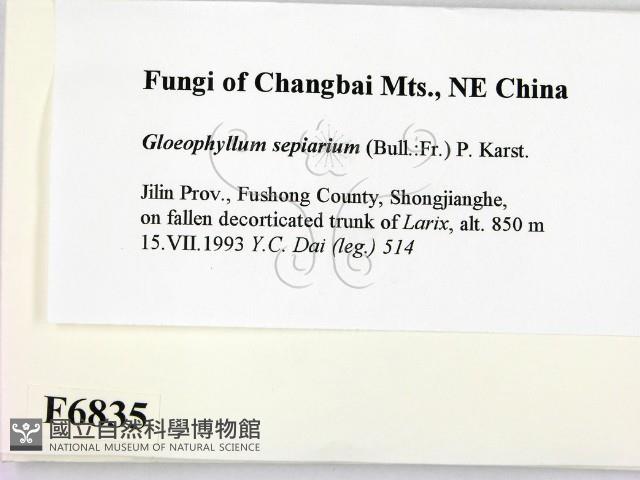 登錄號:F0006835藏品圖，第2張