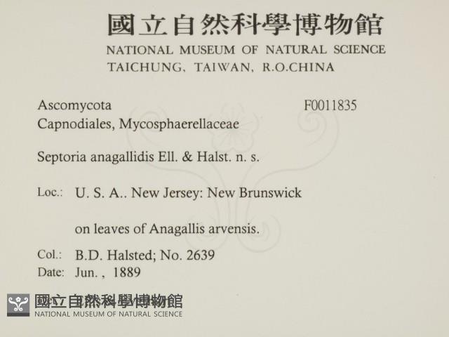 登錄號:F0011835藏品圖，第2張