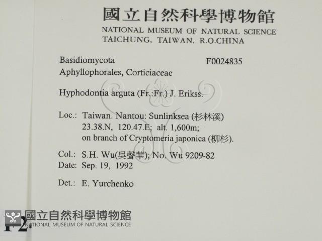 登錄號:F0024835藏品圖，第2張