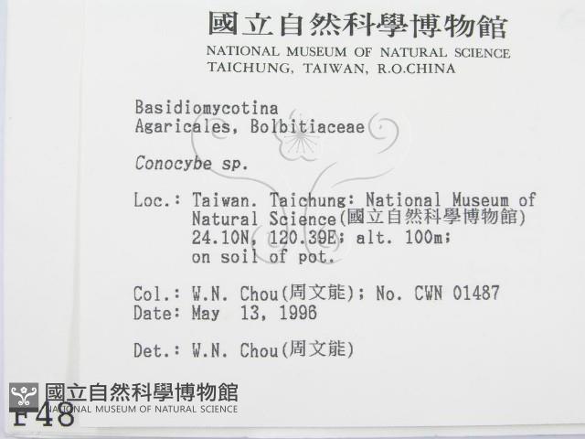 登錄號:F0004835藏品圖，第2張