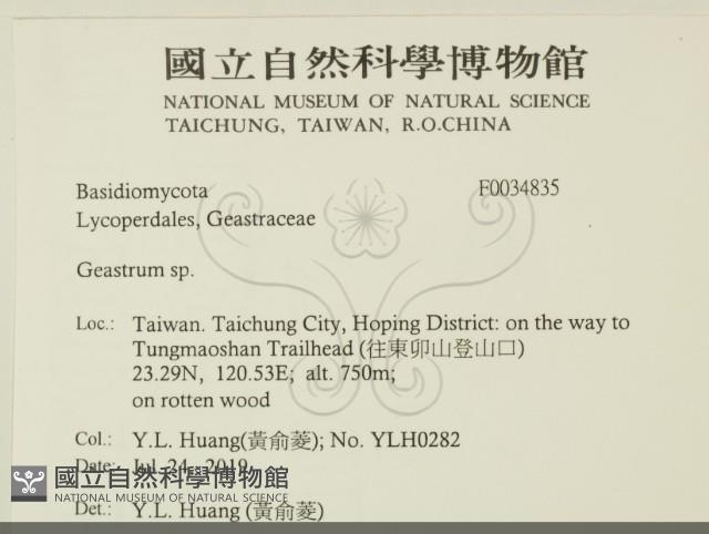 地星屬藏品圖，第2張