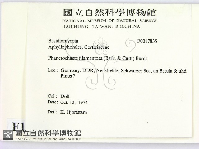 登錄號:F0017835藏品圖，第2張