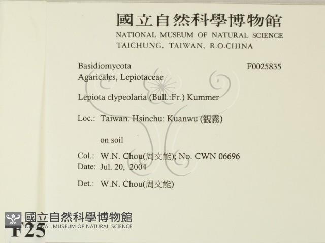 登錄號:F0025835藏品圖，第2張