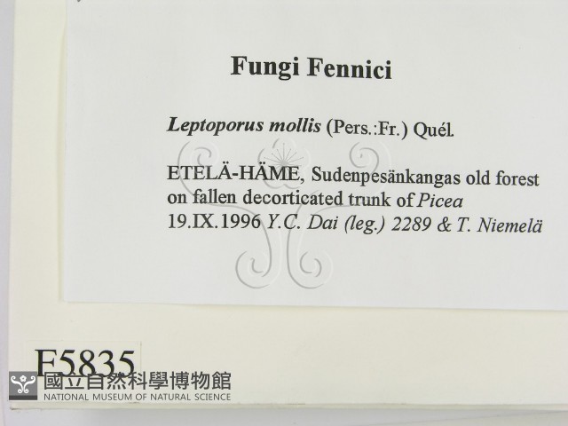 登錄號:F0005835藏品圖，第2張