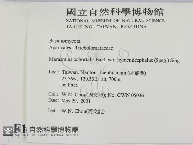 登錄號:F0015835藏品圖，第2張