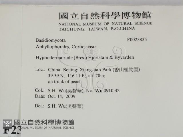 登錄號:F0023835藏品圖，第2張