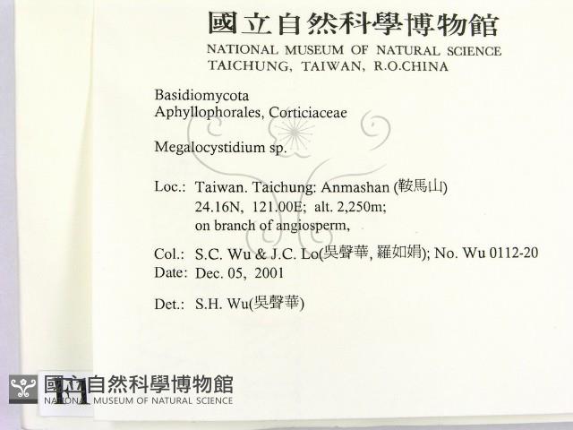 登錄號:F0013835藏品圖，第2張