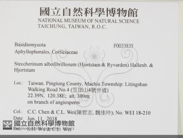 登錄號:F0033835藏品圖，第2張