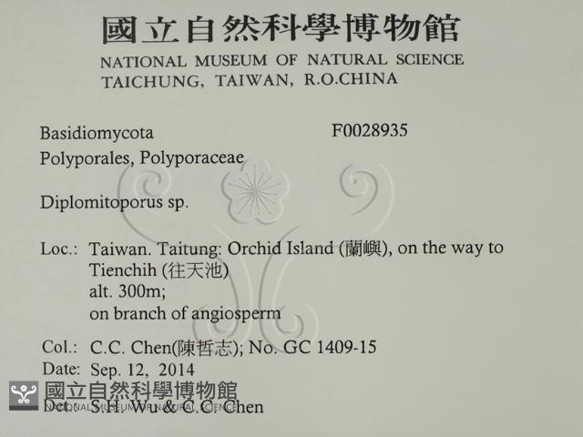 登錄號:F0028935藏品圖，第2張