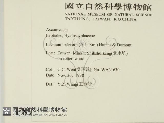 登錄號:F0008935藏品圖，第2張