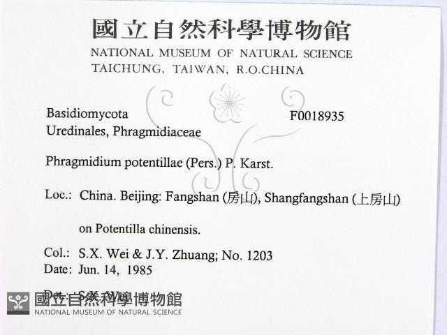 登錄號:F0018935藏品圖，第2張
