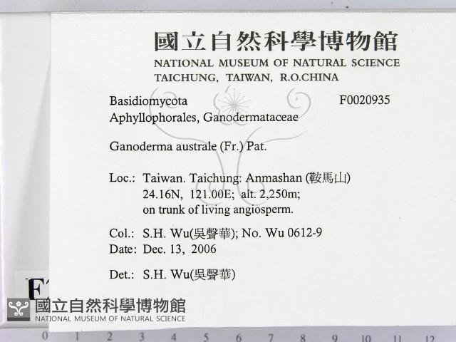 登錄號:F0020935藏品圖，第2張