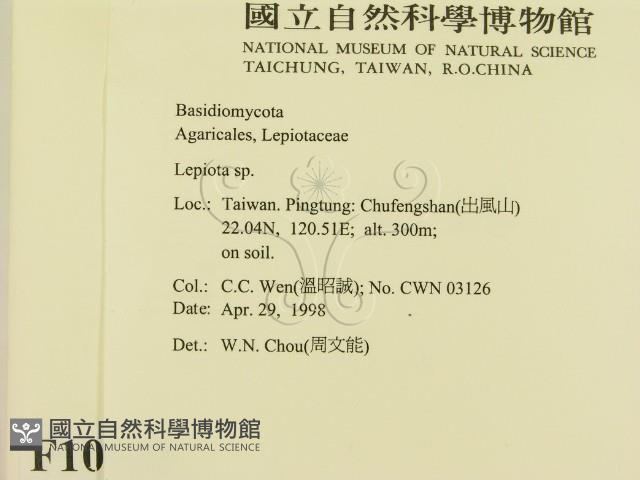 登錄號:F0010935藏品圖，第2張