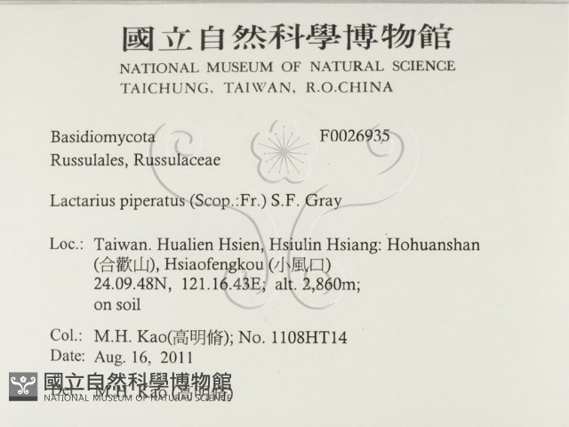 登錄號:F0026935藏品圖，第2張