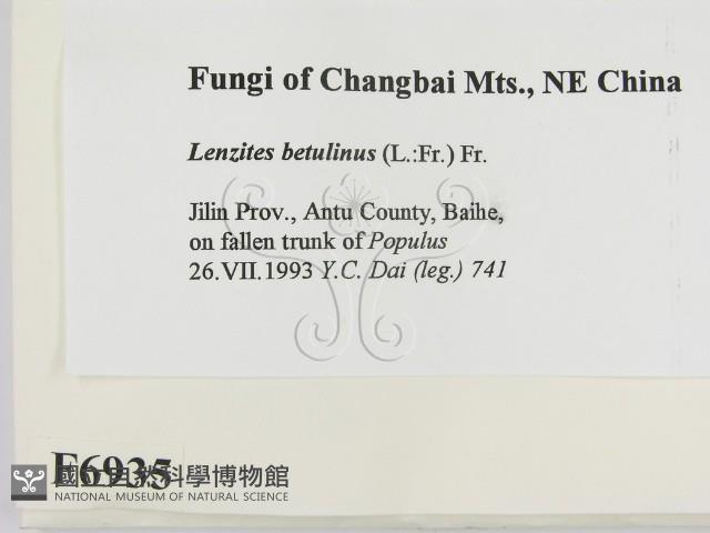 登錄號:F0006935藏品圖，第2張