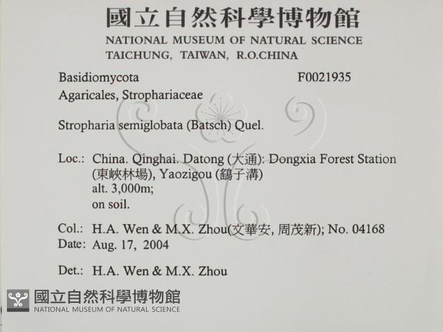 登錄號:F0021935藏品圖，第2張