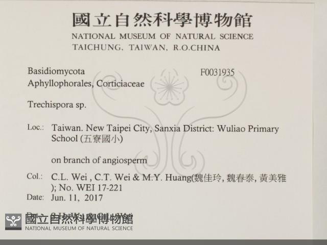 登錄號:F0031935藏品圖，第2張