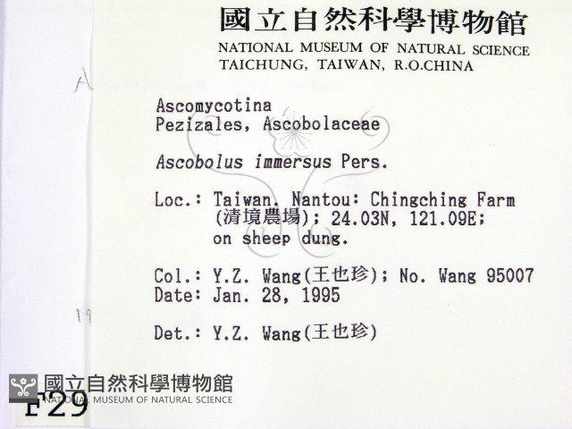 登錄號:F0002935藏品圖，第2張