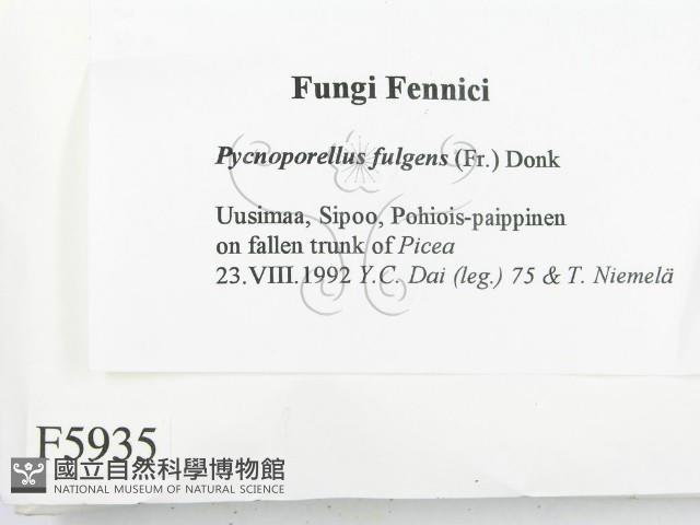 登錄號:F0005935藏品圖，第2張