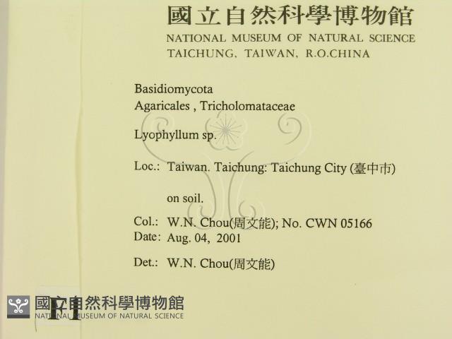 登錄號:F0015935藏品圖，第2張