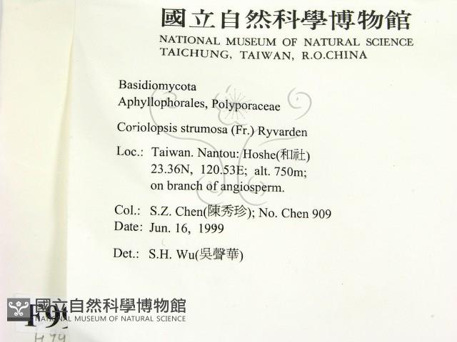 登錄號:F0009935藏品圖，第2張