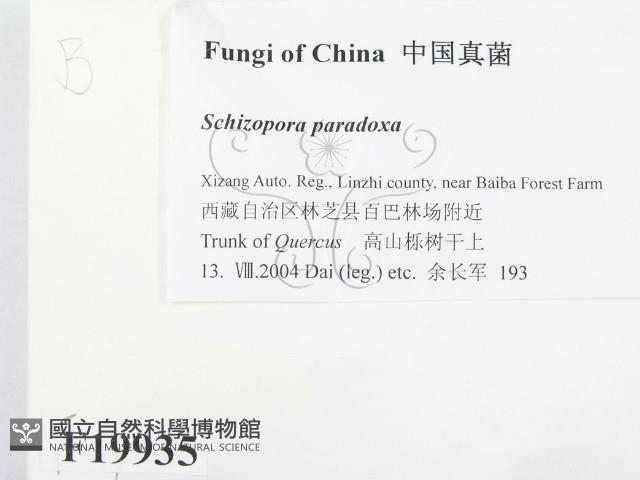 登錄號:F0019935藏品圖，第2張