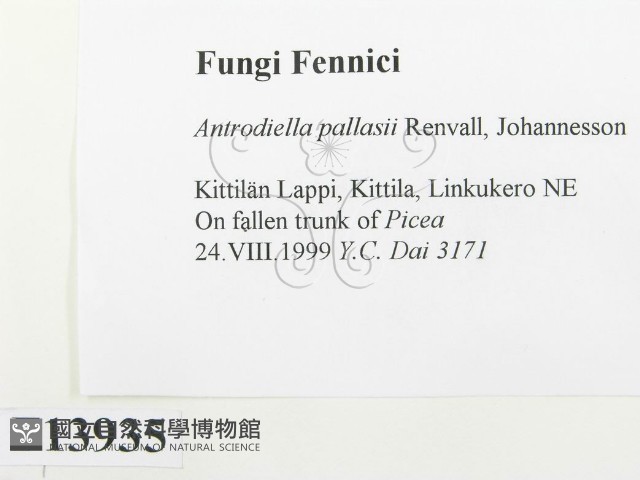 登錄號:F0013935藏品圖，第2張