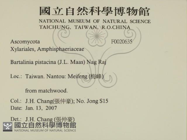 登錄號:F0020635藏品圖，第2張