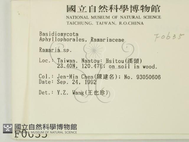 登錄號:F0000635藏品圖，第2張