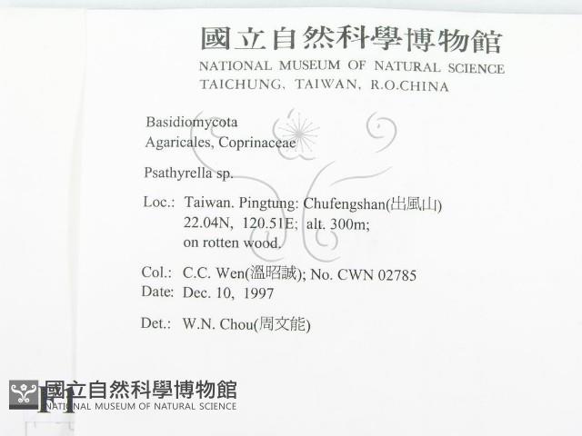 登錄號:F0010635藏品圖，第2張