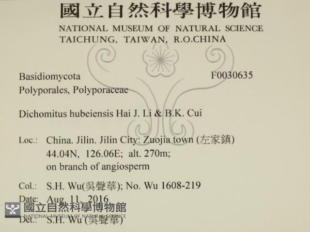 登錄號:F0030635藏品圖，第2張