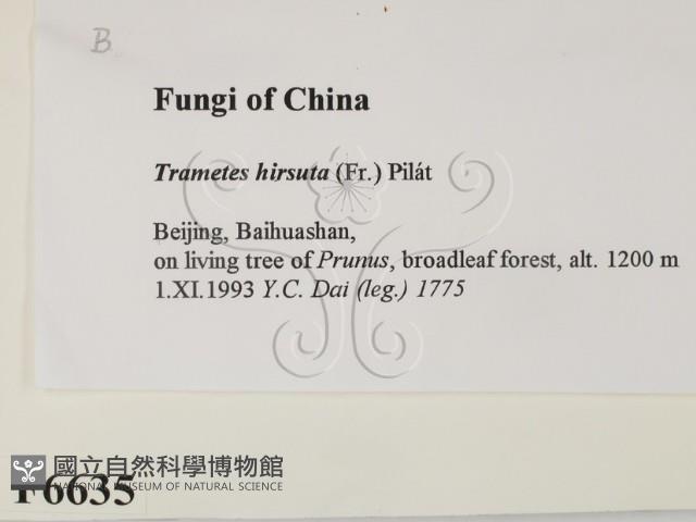 登錄號:F0006635藏品圖，第2張