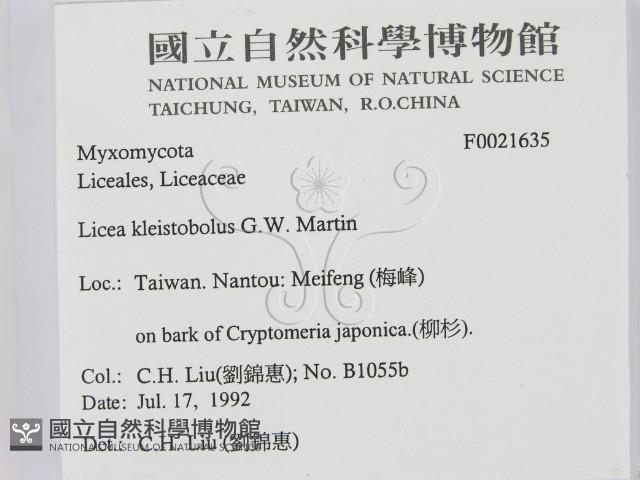 登錄號:F0021635藏品圖，第2張