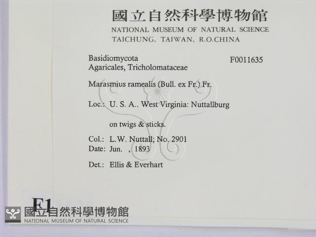 登錄號:F0011635藏品圖，第2張