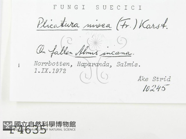 登錄號:F0004635藏品圖，第2張