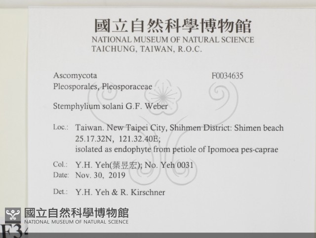 登錄號:F0034635藏品圖，第2張