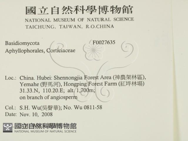 登錄號:F0027635藏品圖，第2張