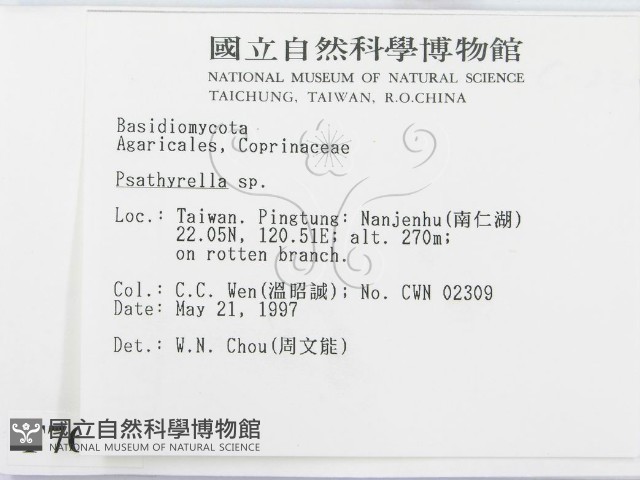 登錄號:F0007635藏品圖，第2張