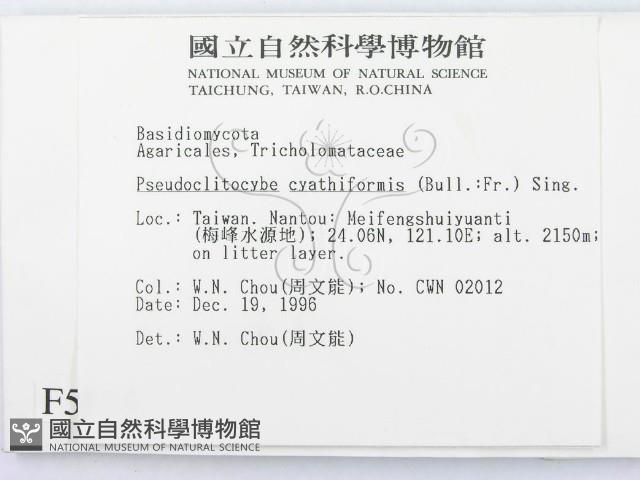 登錄號:F0005635藏品圖，第2張