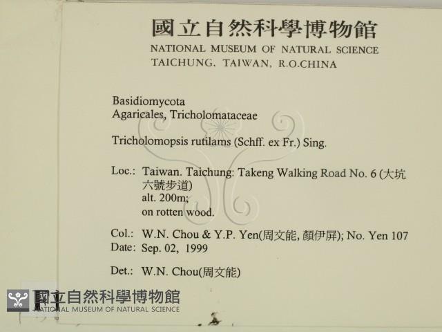 登錄號:F0015635藏品圖，第2張