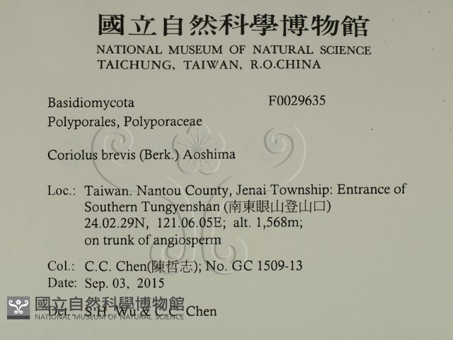 登錄號:F0029635藏品圖，第2張